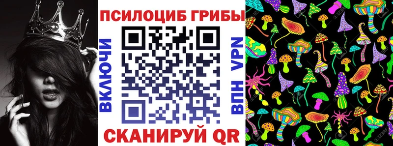 закладка Родники Галлюциногенные грибы Psilocybine cubensis